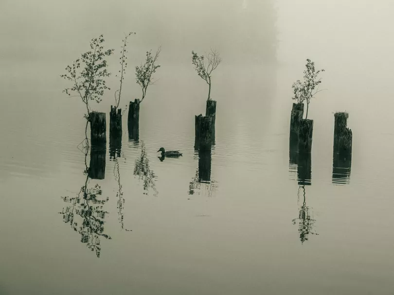 Am Karpfen Teich