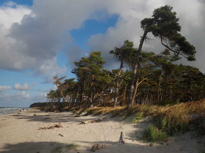 Am Strand