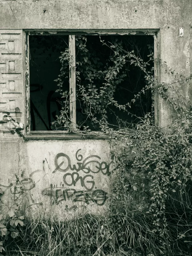 Fensterschmuck