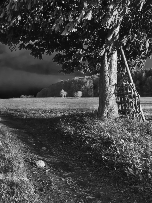 Vor dem Gewitter