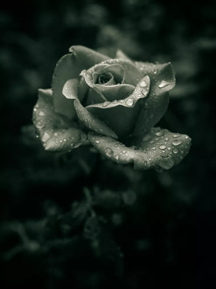 Im Regen